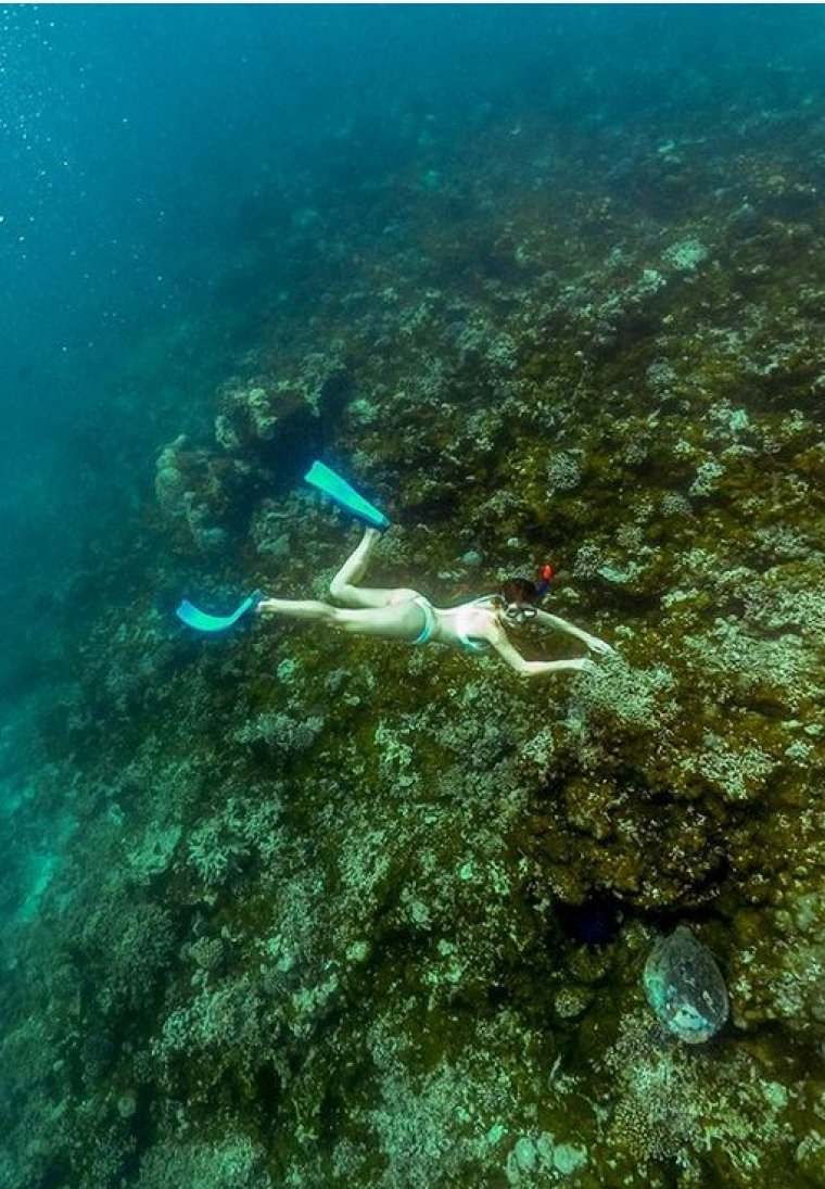 Amanda Cerny'den muhteşem  dalış!