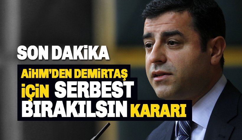 Son dakika: AİHM'den, Selahattin Demirtaş serbest bırakılsın kararı