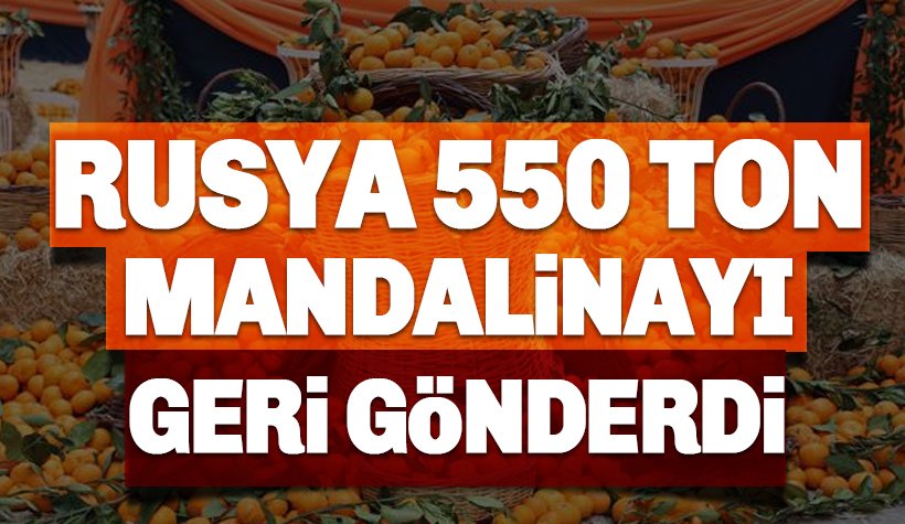 Rusya 550 ton Türk Mandalinasını Geri Gönderdi! Gerekçe: Sinek