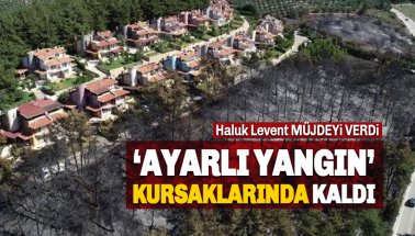 Mudanya'daki şüpheli yangında zarar gören alana fidan dikimi başlıyor