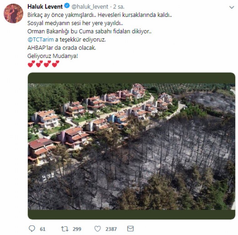 Mudanya'daki şüpheli yangında zarar gören alana fidan dikimi başlıyor
