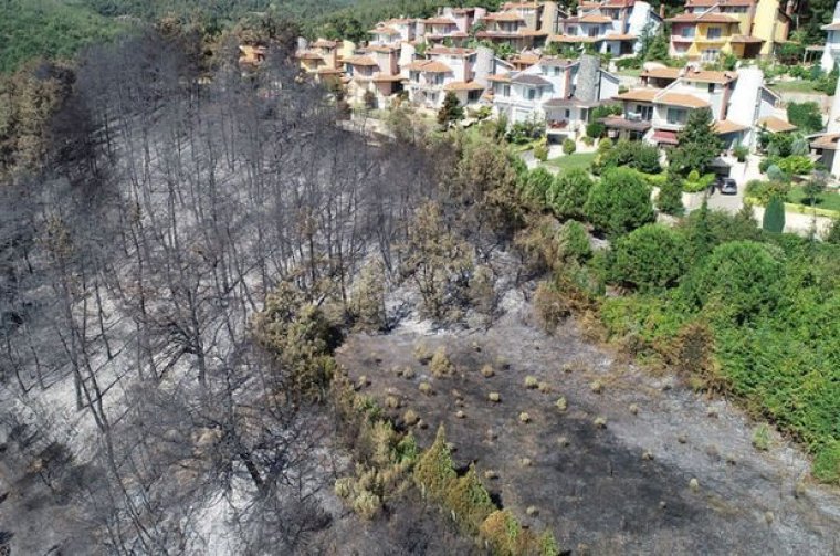 Mudanya'daki şüpheli yangında zarar gören alana fidan dikimi başlıyor