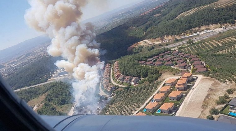 Mudanya'daki şüpheli yangında zarar gören alana fidan dikimi başlıyor
