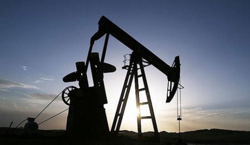 TPAO, Adana’da petrol arayacak: Karar Resmi gazetede