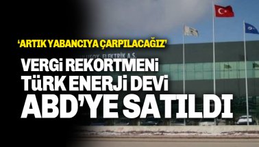 Türk Enerji Devi Ulusoy Elektrik, ABD'li firmaya satıldı