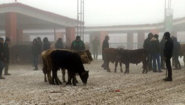 Doğu Anadolu'da 58 Köy ve Mahalleye ulaşılamıyor