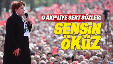 Akşener’den o AKP’liye tepki: Sensin öküz!