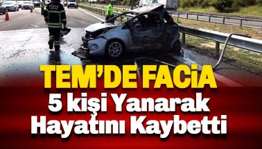 TEM'de facia: 5 kişi yanarak hayatını kaybetti