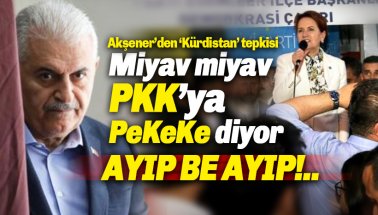 Akşener’den Yıldırım'a ‘Kürdistan' tepkisi: Miyav miyav PKK’ya PeKeKe diyor