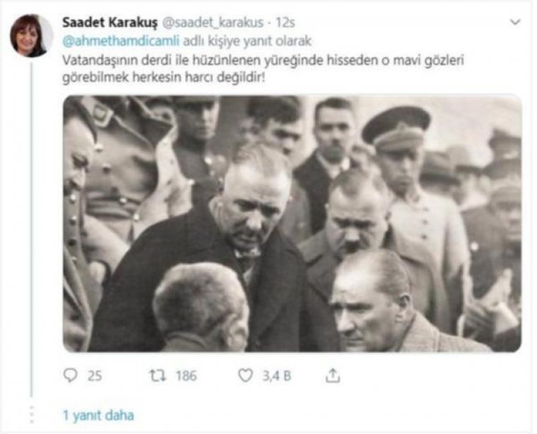 AKP'nin Yeliz'inden tepki çeken Atatürk tablosu paylaşımı
