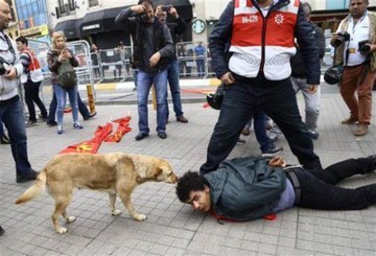 Taksim'in 'Eylem' köpeği kaza kurbanı oldu