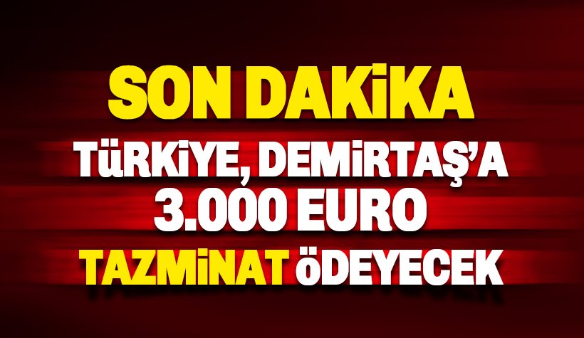 Türkiye Demirtaş'a 3 bin euro tazminat ödeyecek