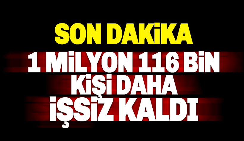 İşsizlik rakamları açıklandı: 1 milyon 116 bin kişi daha işsiz kaldı