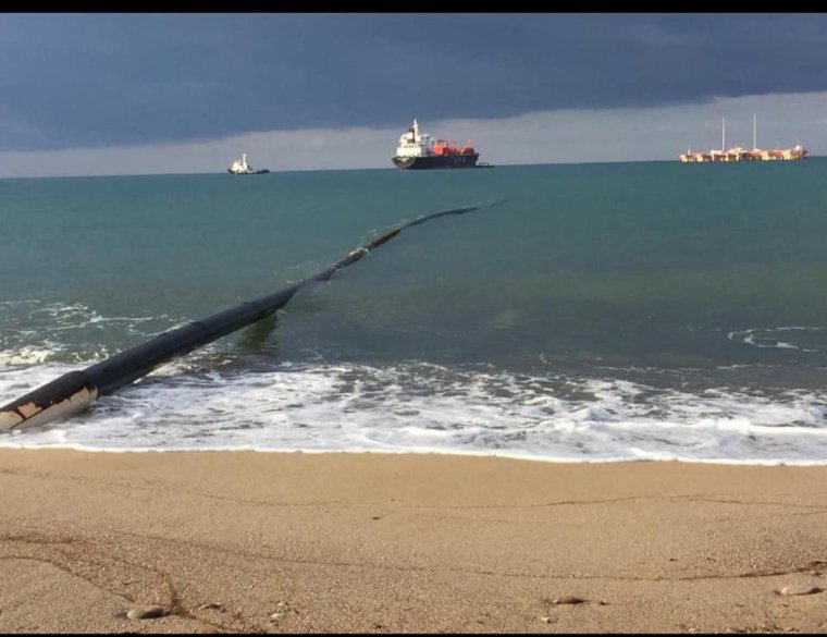 Alanya'da 'Doğa İttifakı' Korkak ve satılık değiliz