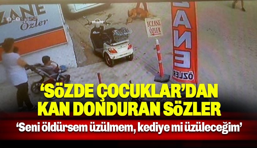 Hamile kediyi pitbullun ağzına atan 'çocuklardan' inanılmaz sözler