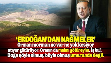Erdoğan'ın orman talanı sözleri yeniden gündemde