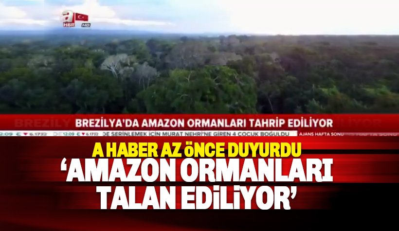 Yandaş A Haber: Amazon Ormanları tahrip ediliyor