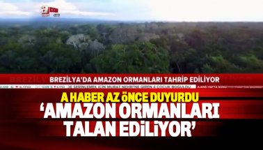 Yandaş A Haber: Amazon Ormanları tahrip ediliyor