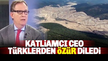 Kaz Dağları'nda katliam yapan şirketin CEO'su Türklerden özür diledi