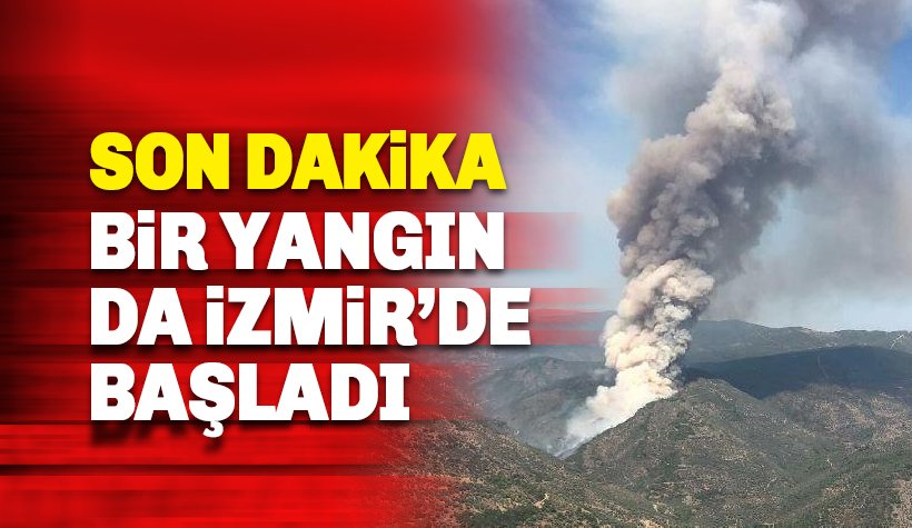 Son dakika: Bir yangın da İzmir Bayındır'da başladı