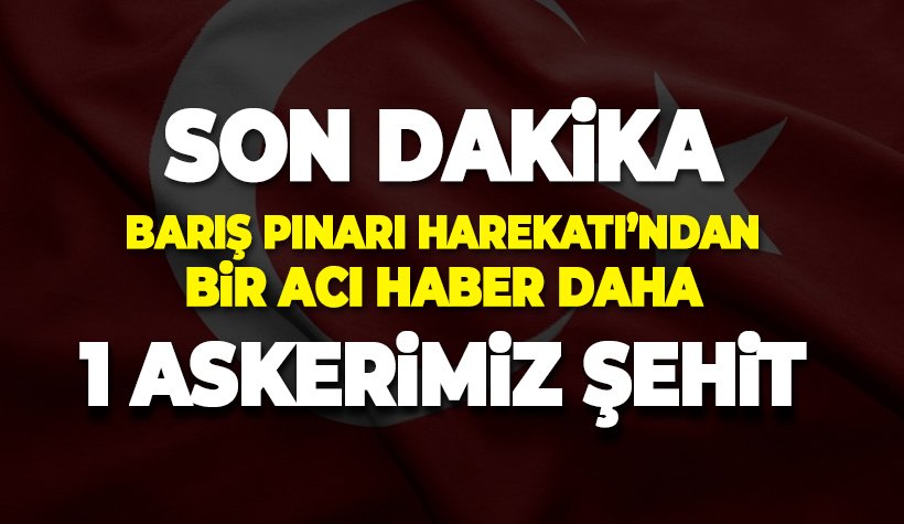 MSB: Barış Pınarı Harekatı'nda 1 askerimiz şehit oldu