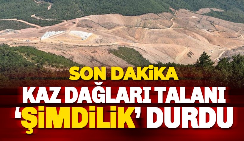 Son dakika: Kaz Dağları'daki talan durdu