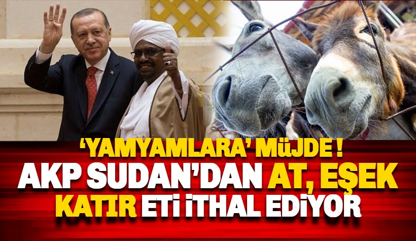 AKP hükümeti, Sudan'dan at, eşek ve katır eti ithal edecek