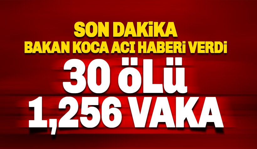 Türkiye'de vaka sayısı 1.256, ölü sayısı 30 oldu