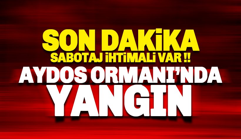 Aydos Ormanı'nda yangın çıktı