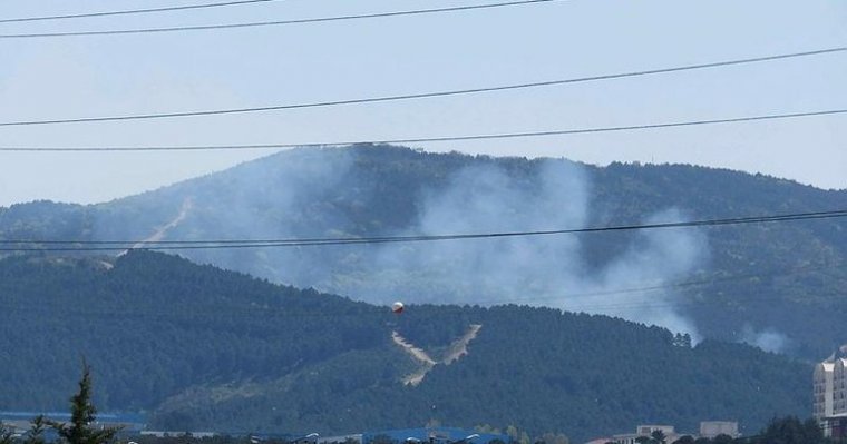 Aydos Ormanı'nda yangın çıktı