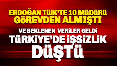 TÜİK'e göre işsizlik oranları düştü