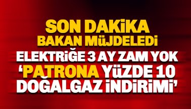 Elektriğe 3 ay zam yapılmayacak: Patrona doğalgaz indirimi