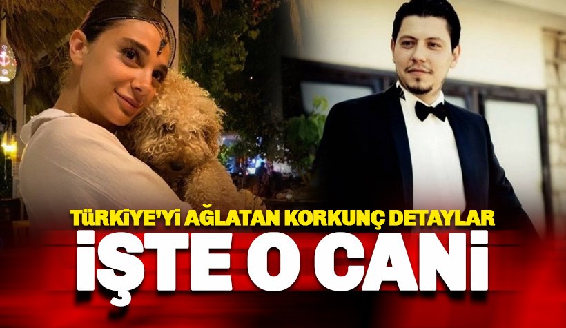 Pınar Gültekin'in cansız bedeni bulundu: Yaşamak İstiyoruz ey ahali!