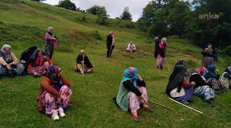 Maden şirketinin doğa talanına direnen kadınlar gözaltına alındı
