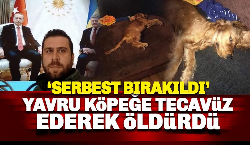 Yavru Kopege Istismar Ederek Olduren Volkan Uzun Isimli Sahis Serbest Yavru Kopege Istismar Ederek Olduren Volkan Uzun Isimli Sahis Serbest