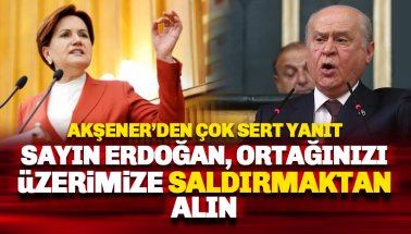 Akşener'den 'Evine dön' yanıtı: Sayın Erdoğan, ortağınızı..