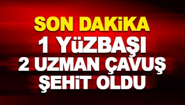 1 Yüzbaşı ve 2 uzman çavuş şehit, 1 yarbay yaralı