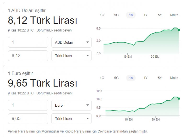 Albayrak'ın istifasının ardından dolar euro eriyor. TL Yüzde 5 değerlendi