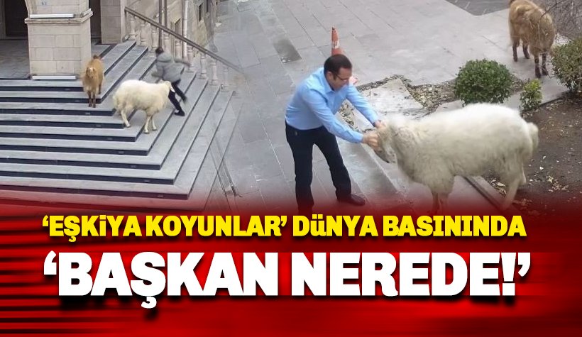 'Eşkiya koyun çetesi' dünya basınında