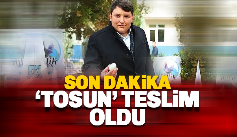 Çiftlik Bank’ın kurucusu ‘Tosuncuk’ lakaplı Mehmet Aydın teslim oldu