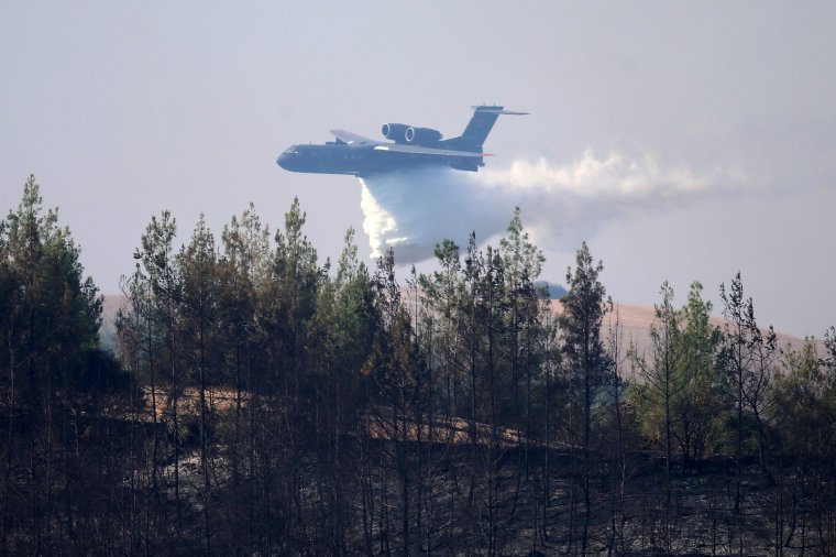 Son dakika: Kahramanmaraş'ta yangın söndürme uçağı düştü