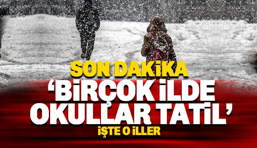 Kar ve kötü hava koşulları nedeniyle birçok ilde okullar tatil edildi