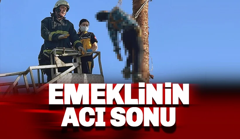 Emekli Vatandaşın Hazin Sonu