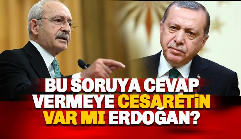 Bu sorulara cevap vermeye yüreğin yetiyor mu Erdoğan?