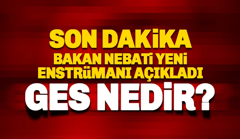 Gelire endeksli devlet iç borçlanma senedi (GES) geliyor GES Nedir?