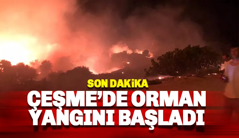 Son dakika: Çeşme'de orman yangını: Başkan Alevlerin içinden yardım istedi