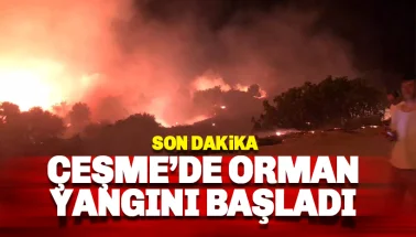 Son dakika: Çeşme'de orman yangını: Başkan Alevlerin içinden yardım istedi