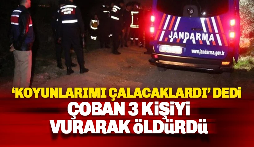 Çoban 3 kişiyi öldürdü: Koyuları çalacaklardı dedi