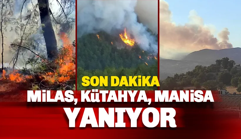 Son dakika: Milas, Kütahya ve Manisa yanıyor