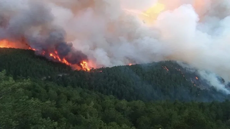 Son dakika: Milas, Kütahya ve Manisa yanıyor